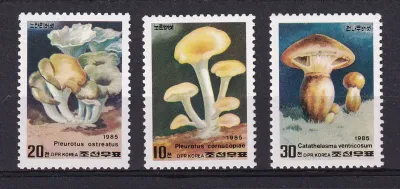 North Korea 1985 Mushrooms. MNH(**) North Korea 1985 Mushrooms. MNH(**)