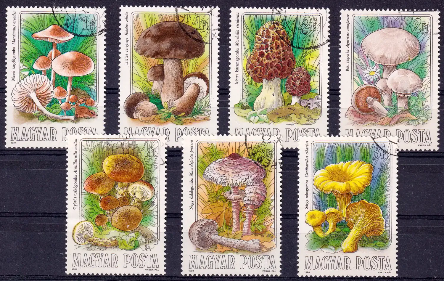 Hungary 1984 Mushrooms. CTO, NH(**)
