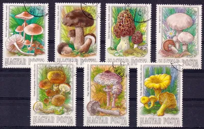 Hungary 1984 Mushrooms. CTO, NH(**)