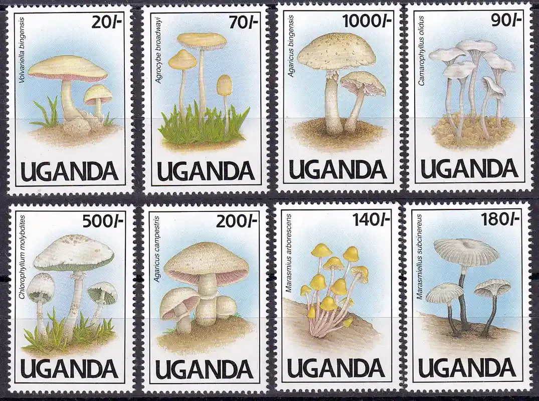 Uganda 1991 Mushrooms, MNH(**)