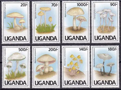 Uganda 1991 Mushrooms, MNH(**)