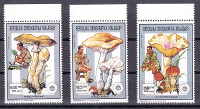 Madagascar 1991 Mushrooms, Scouting, MNH(**) Madagascar 1991 Mushrooms, Scouting, MNH(**)