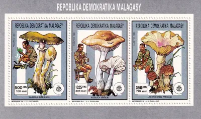 Madagascar 1991 Mushrooms, Scouting, MNH(**) Madagascar 1991 Mushrooms, Scouting, MNH(**)