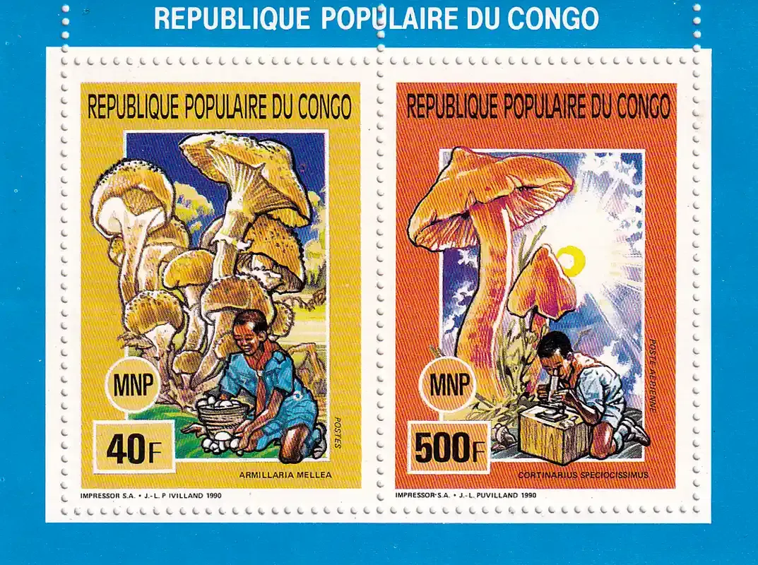 Congo 1991 Mushrooms, Scouting, MNH(**)