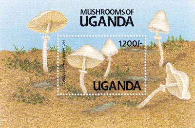 Uganda 1991 Mushrooms, (SS) #2 MNH(**)