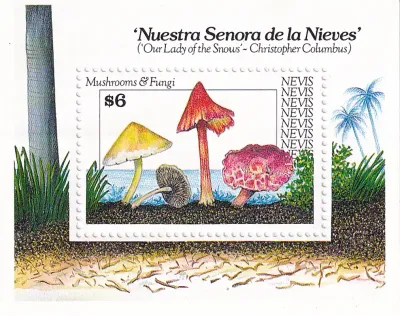 Nevis 1991 Mushrooms. (SS). MNH(**) Nevis 1991 Mushrooms. (SS). MNH(**)