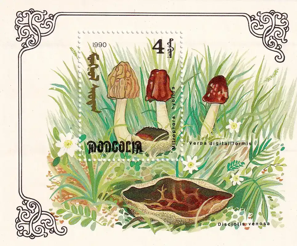 Moldova 1991 Mushrooms. (SS). MNH(**)