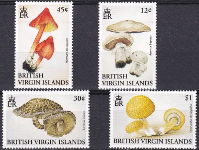 British Virgin Islands 1992 Mushrooms. MNH(**)