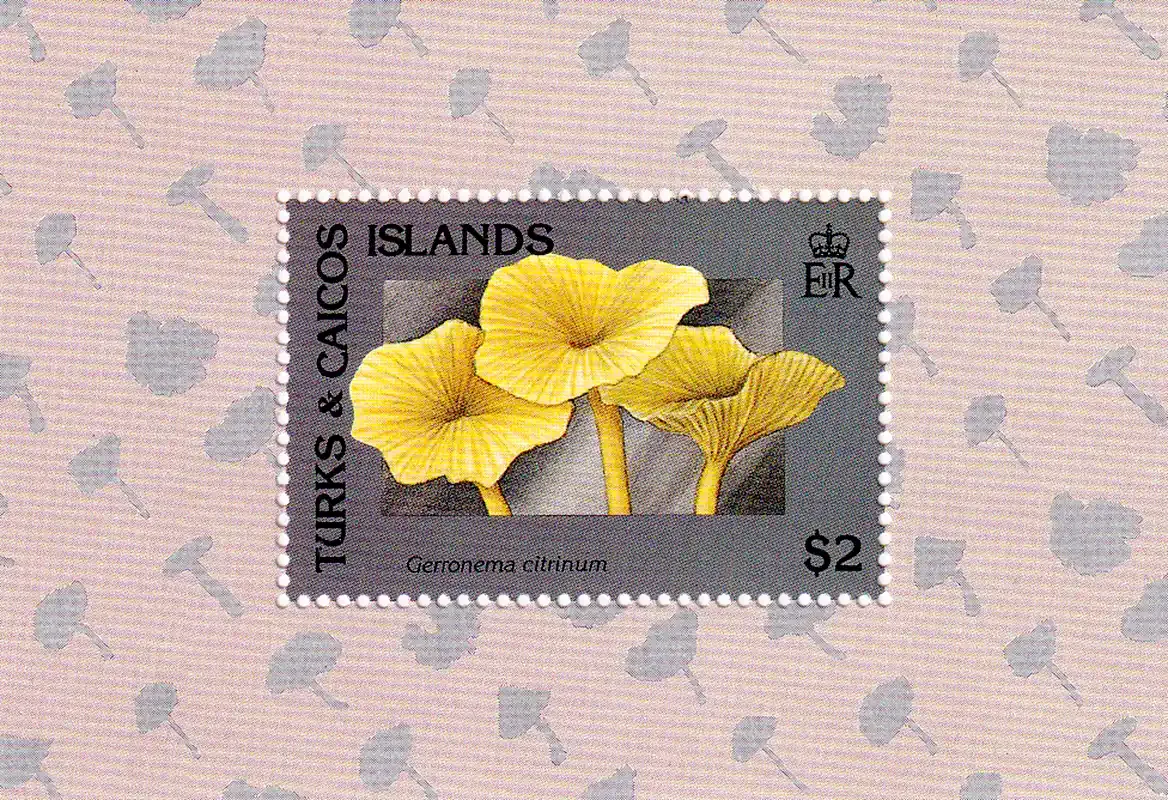 Turks And Caicos Islands 1991 Mushrooms. (SS) #2 MNH(**)