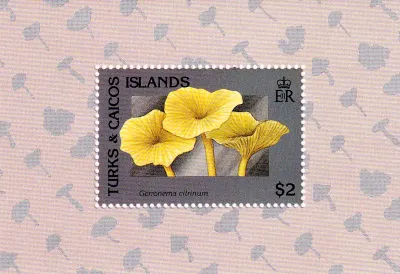 Turks And Caicos Islands 1991 Mushrooms. (SS) #2 MNH(**)