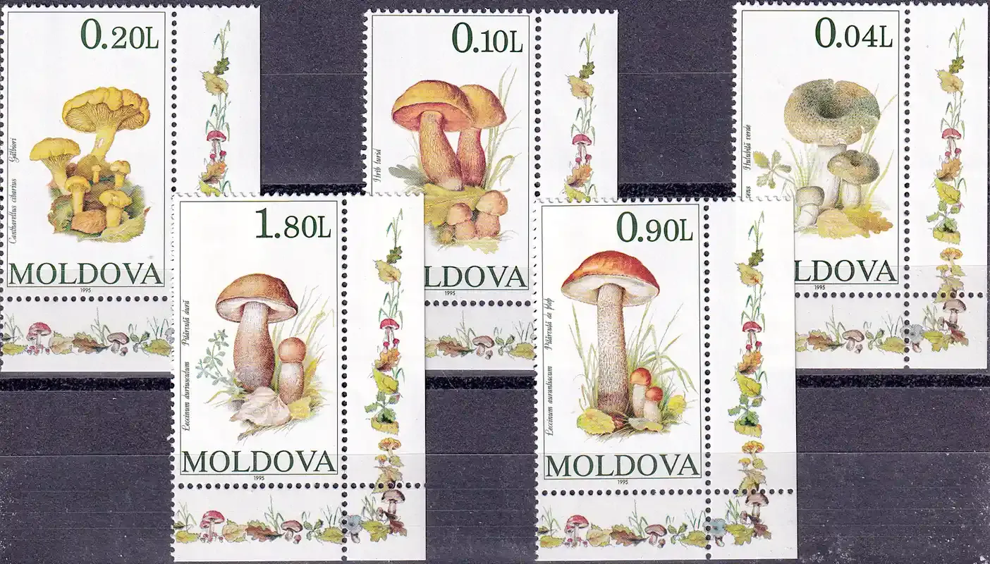 Moldova 1995 Fungi, Mushrooms. MNH(**)