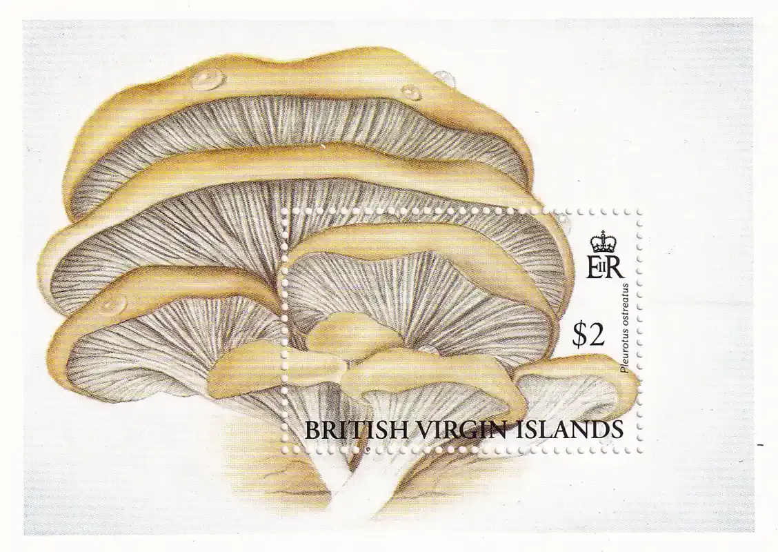 British Virgin Islands 1992 Mushrooms. (SS) MNH(**)