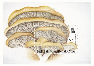 British Virgin Islands 1992 Mushrooms. (SS) MNH(**)