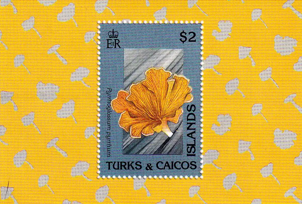 Turks And Caicos Islands 1991 Mushrooms. (SS) #1 MNH(**)