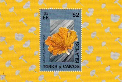 Turks And Caicos Islands 1991 Mushrooms. (SS) #1 MNH(**)