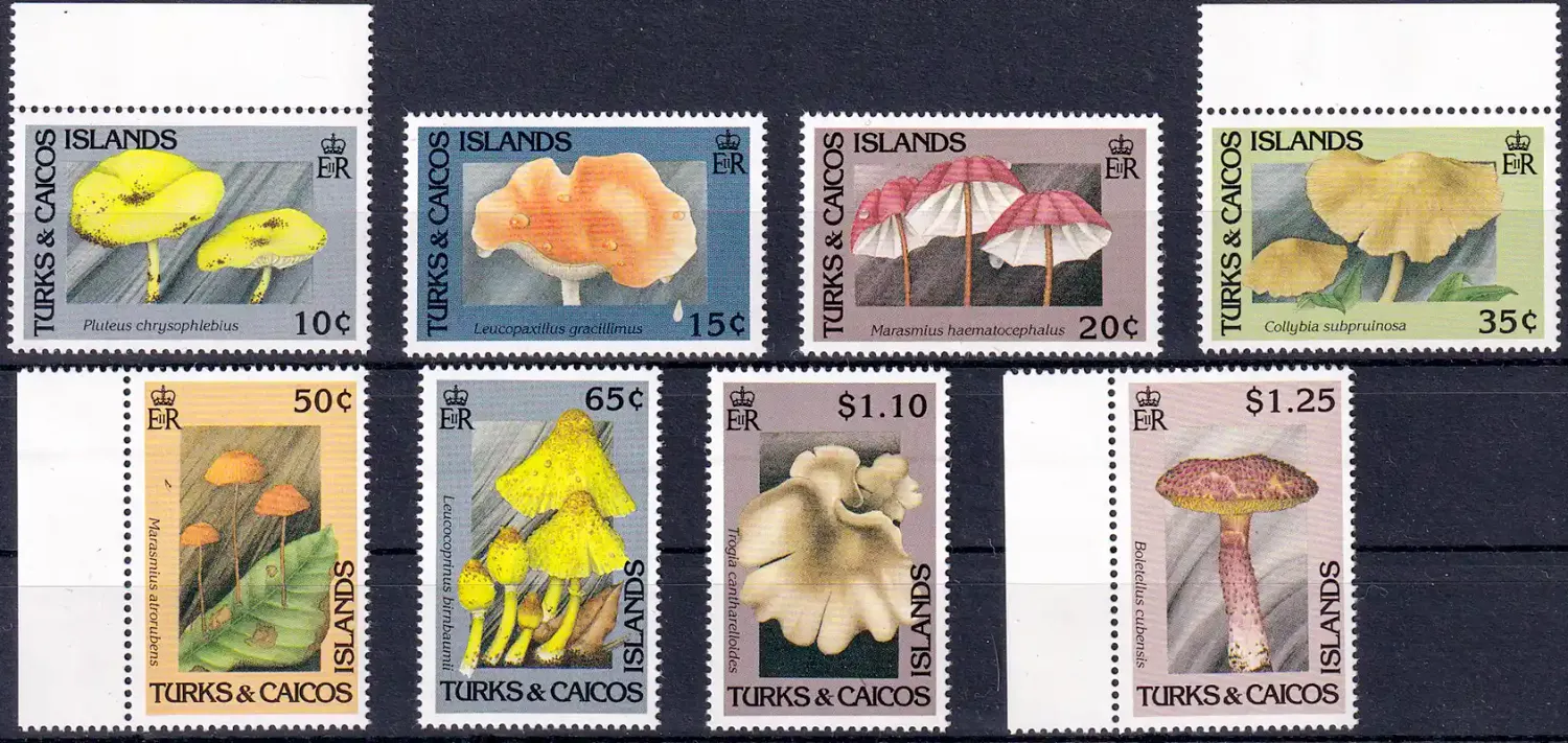Turks And Caicos Islands 1991 Mushrooms. MNH(**)