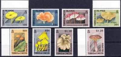 Turks And Caicos Islands 1991 Mushrooms. MNH(**)