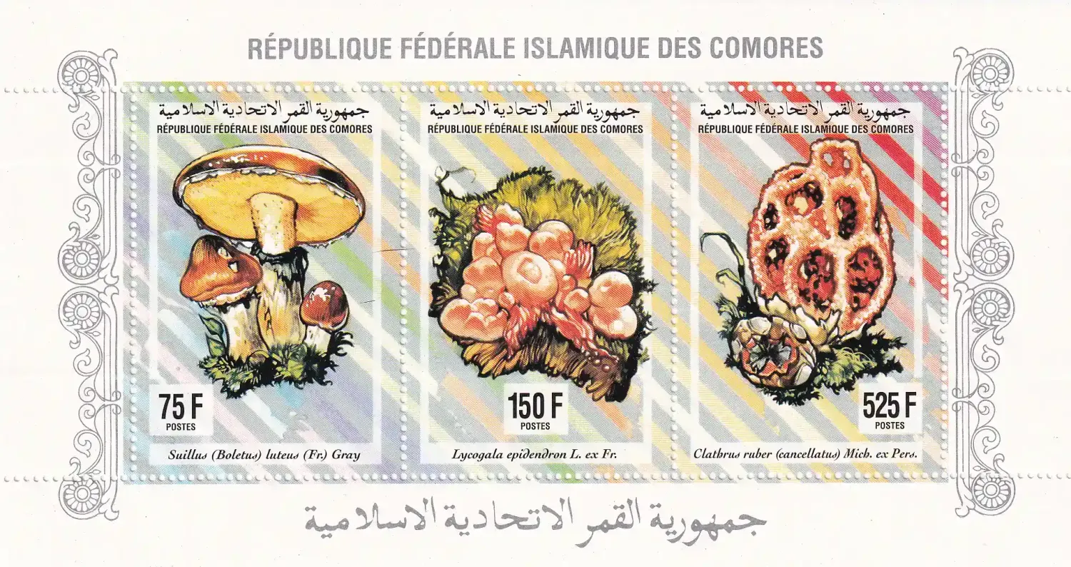 Comoro Islands 1991 Fungi, Mushrooms. (SS) MNH(**)