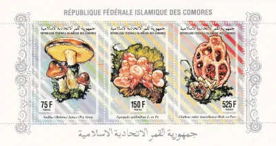 Comoro Islands 1991 Fungi, Mushrooms. (SS) MNH(**)