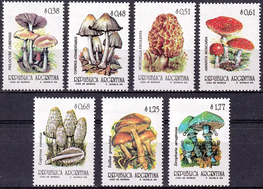 Argentina 1992 Fungi, Mushrooms. MNH(**)