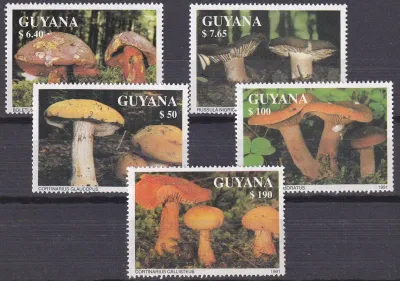 Guyana 1991 Mushrooms. MNH(**)