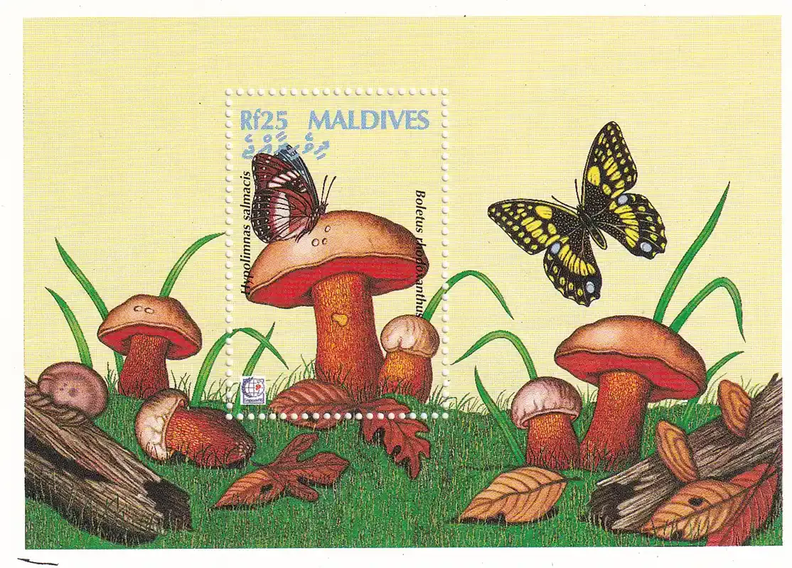 Maldives 1992 Mushrooms. Trametes cinnabarina. (SS) #2. MNH(**)