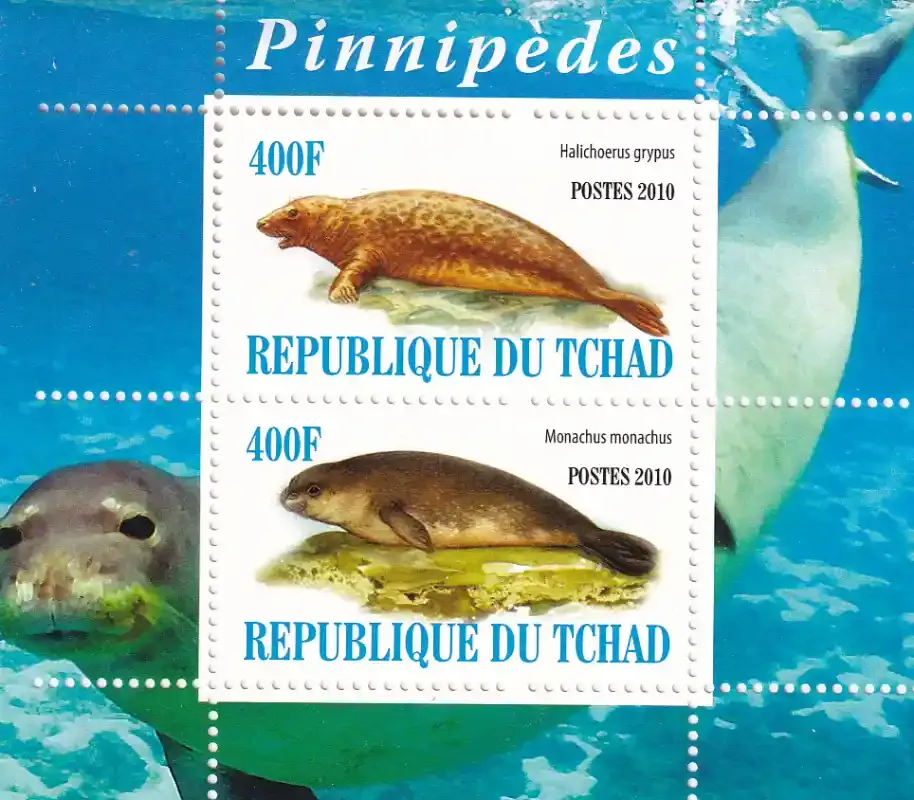 Chad 2010 Marine Life. MNH (**)