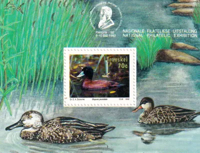 South Africa (Transkei) 1992 Waterbirds. Stamp Exhibition - MNH(**)