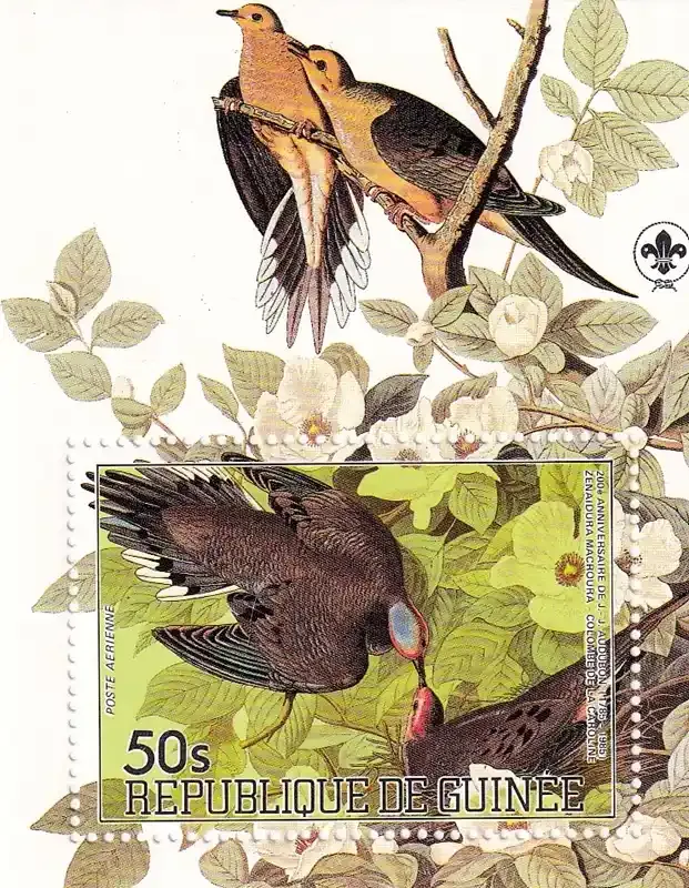 Guinea 1985 Airmail - Birds - Anniv of the Birth of John J. Audubon, MNH (**) Guinea 1985 Airmail - Birds - Anniv of the Birth of John J. Audubon, MNH (**)
