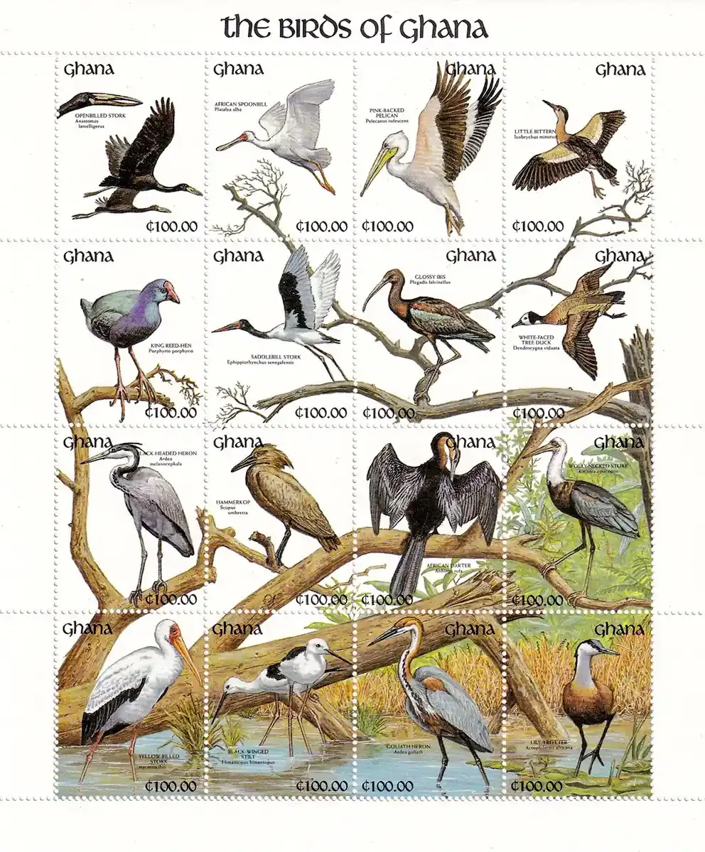 Ghana 1991 Birds-MNH (**) Ghana 1991 Birds-MNH (**)
