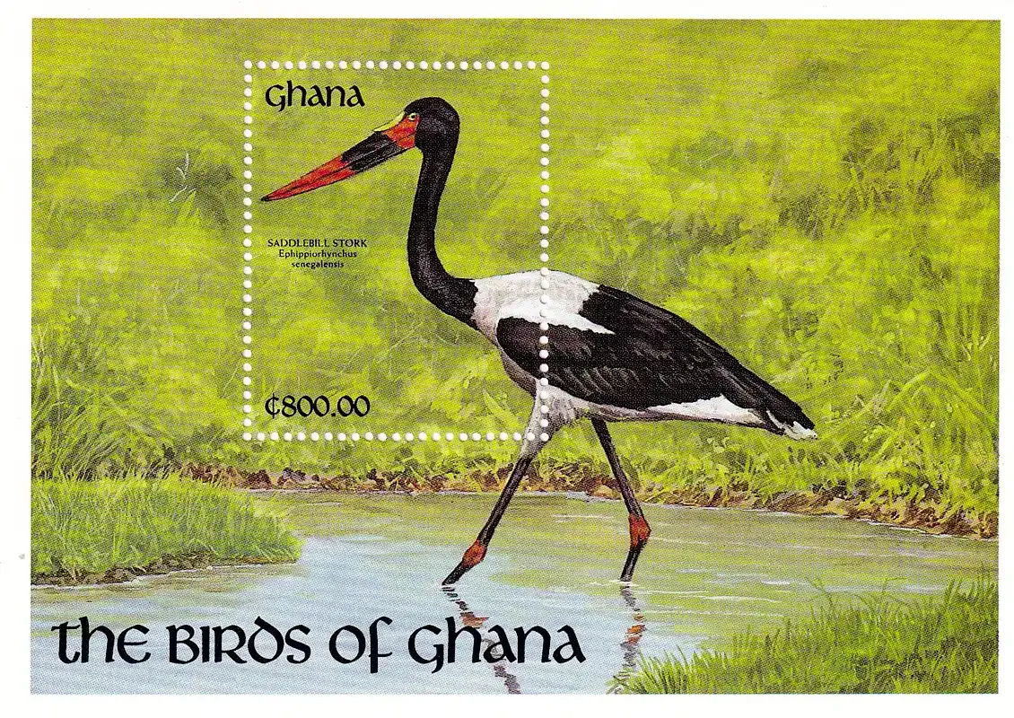 Ghana 1991 Birds (ss/1v)-MNH (**) Ghana 1991 Birds (ss/1v)-MNH (**)