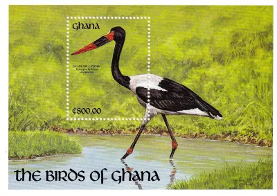 Ghana 1991 Birds (ss/1v)-MNH (**) Ghana 1991 Birds (ss/1v)-MNH (**)
