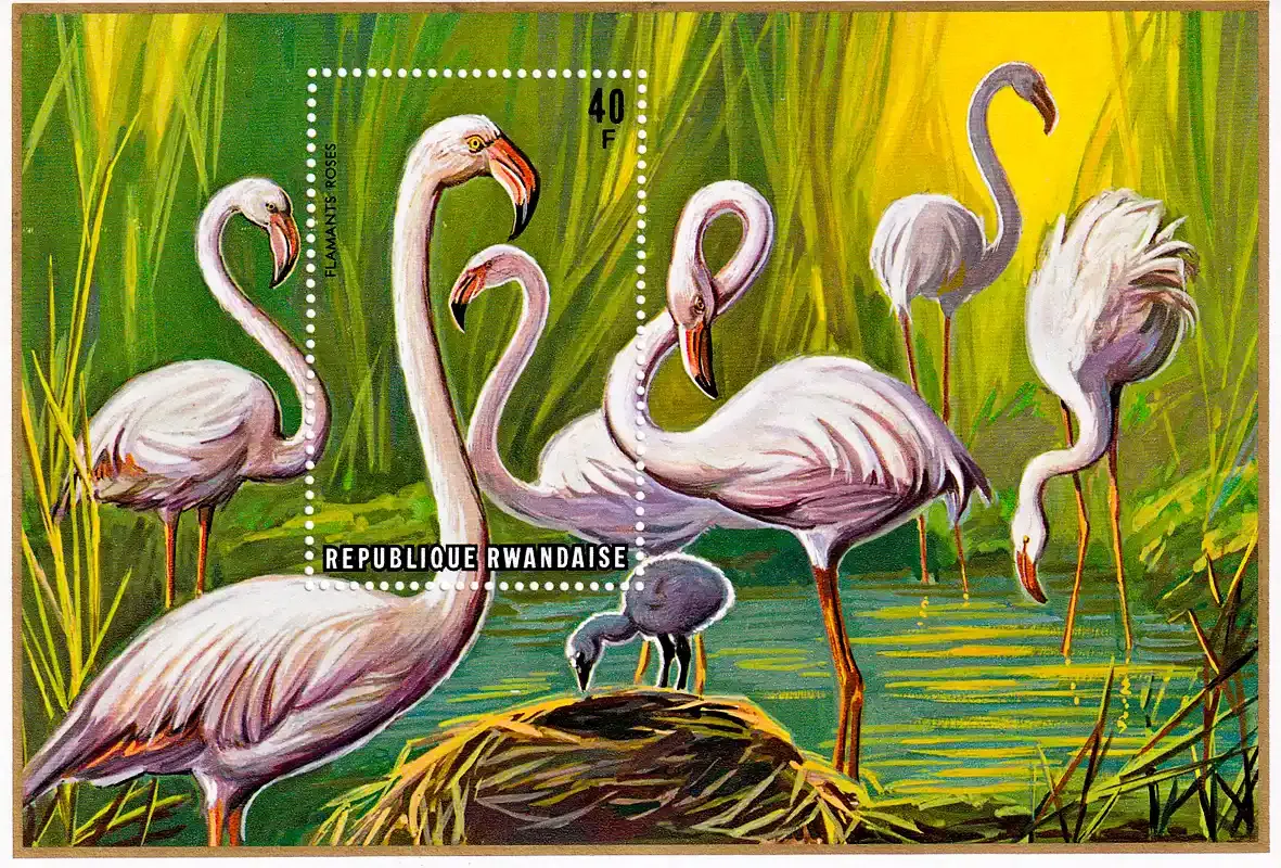 Mali 1975 Aquatic Birds (ss)-MNH (**) Mali 1975 Aquatic Birds (ss)-MNH (**)