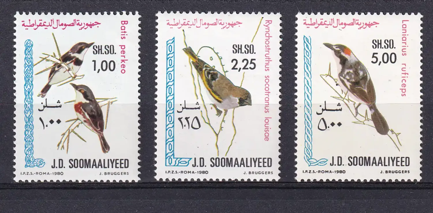 Somalia 1980 Birds. MNH Somalia 1980 Birds. MNH