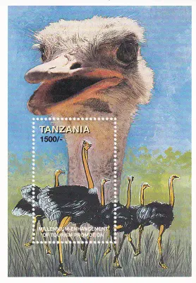 Tanzania 1999 Millennium - Birds, Ostriches (ss/1v). MNH Tanzania 1999 Millennium - Birds, Ostriches (ss/1v). MNH