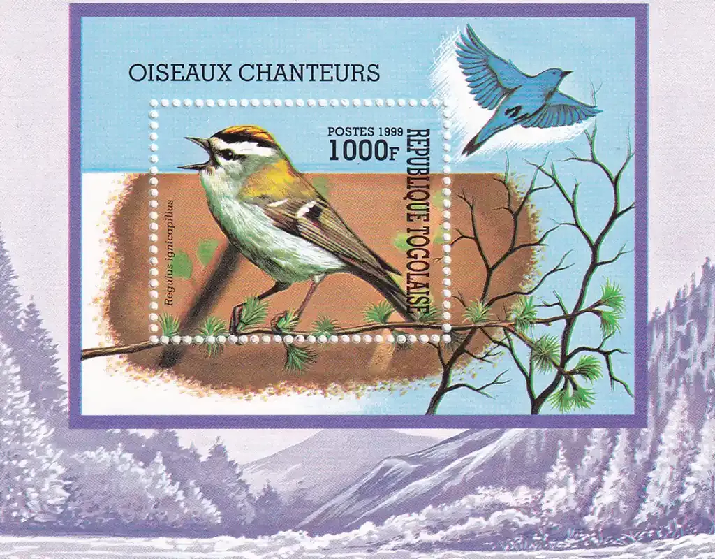 Togo 1999 Songbirds. (ss/1v)-MNH(**) Togo 1999 Songbirds. (ss/1v)-MNH(**)