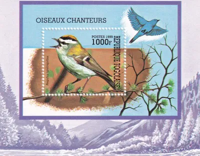 Togo 1999 Songbirds. (ss/1v)-MNH(**)