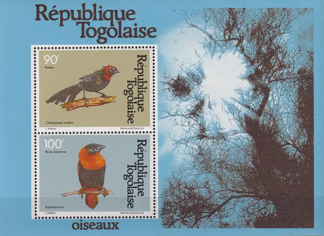 Togo 1981 Birds and Airs. (ss/2v)-MNH(**) Togo 1981 Birds and Airs. (ss/2v)-MNH(**)