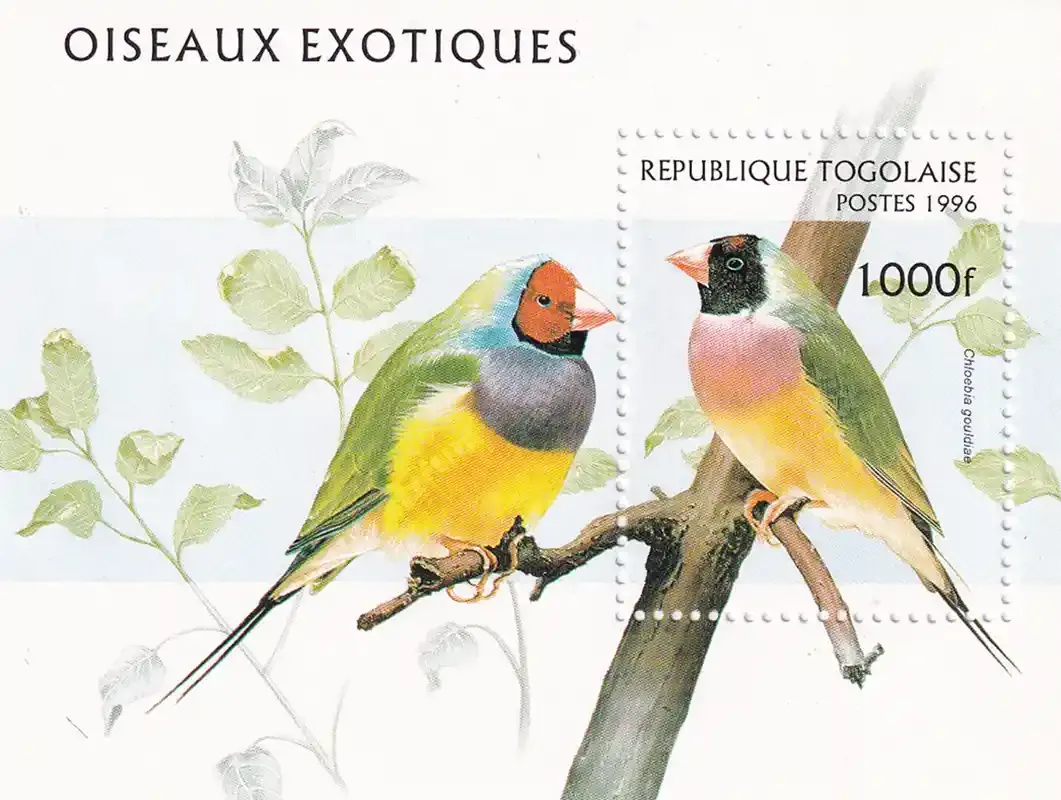 Togo 1996 Birds. (ss/1v)-MNH(**) Togo 1996 Birds. (ss/1v)-MNH(**)