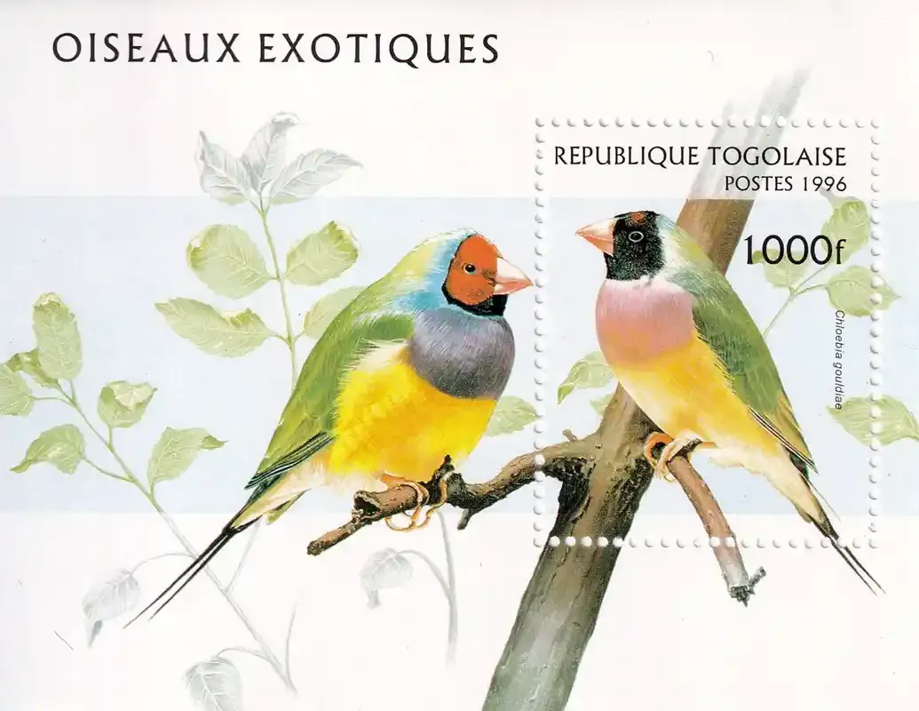 Togo 1996 Birds. (ss/1v)-MNH(**) Togo 1996 Birds. (ss/1v)-MNH(**)