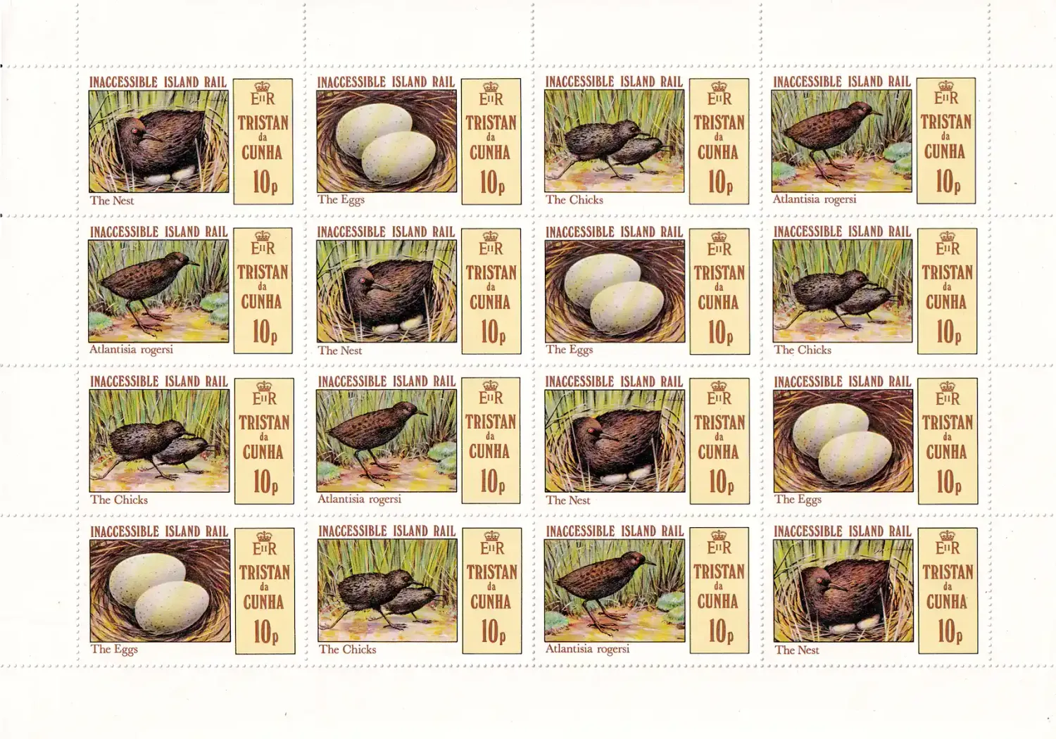 Tristan da Cunha 1981 Island Rail, Birds (ss/v16). MNH Tristan da Cunha 1981 Island Rail, Birds (ss/v16). MNH