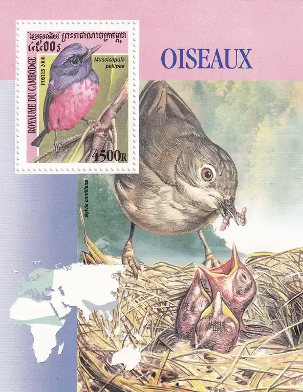 Cambodia 2000 Birds. (ss/v1)-MNH(**) Cambodia 2000 Birds. (ss/v1)-MNH(**)