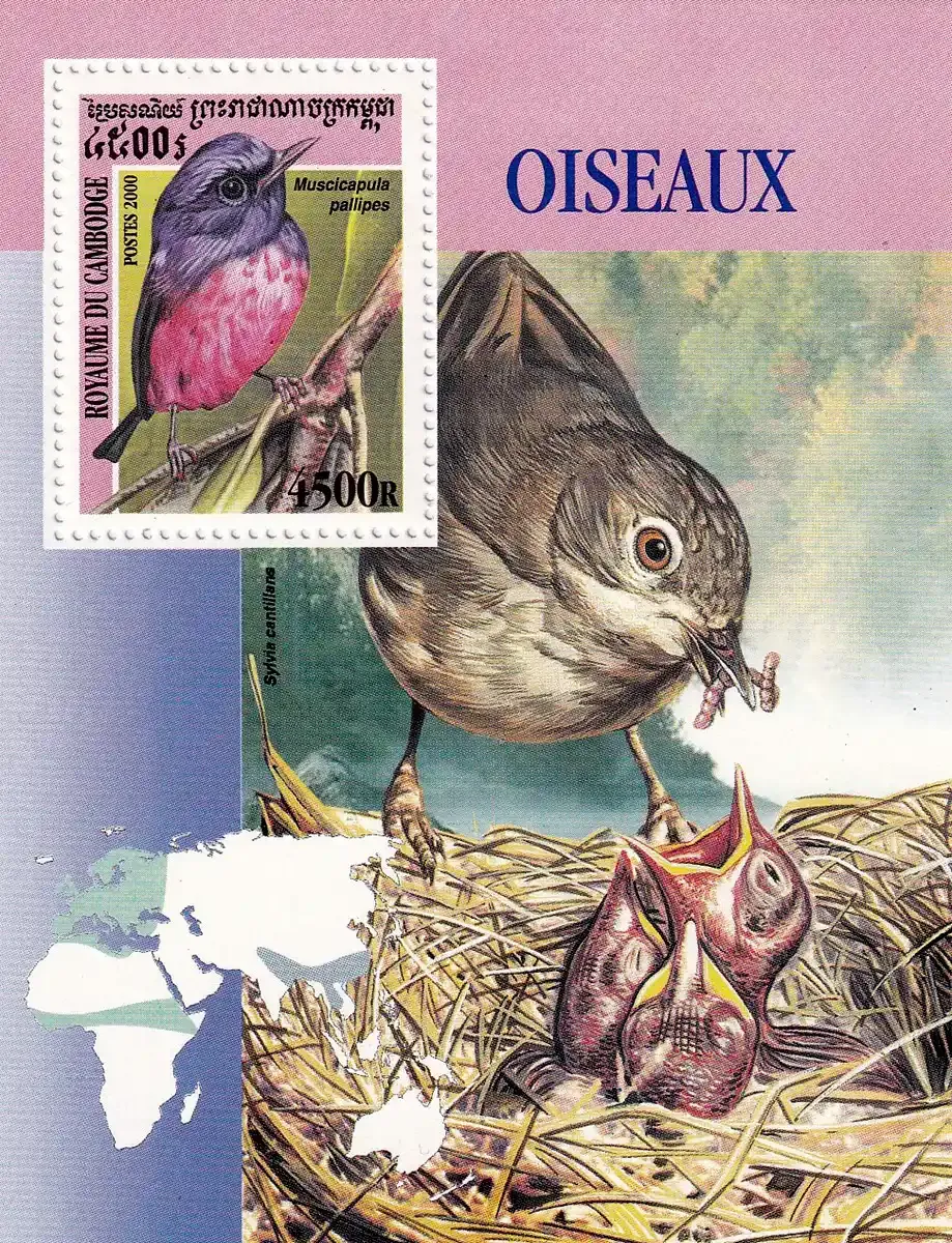 Cambodia 2000 Birds. (ss/v1)-MNH(**) Cambodia 2000 Birds. (ss/v1)-MNH(**)