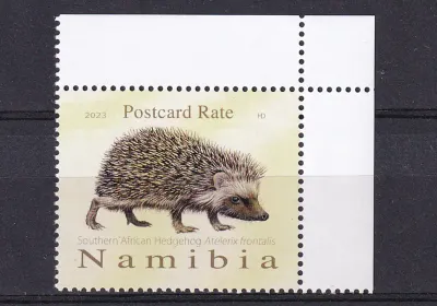 Namibia 2023 Fauna - Southern African Hedgehog. MNH(**) Namibia 2023 Fauna - Southern African Hedgehog. MNH(**)