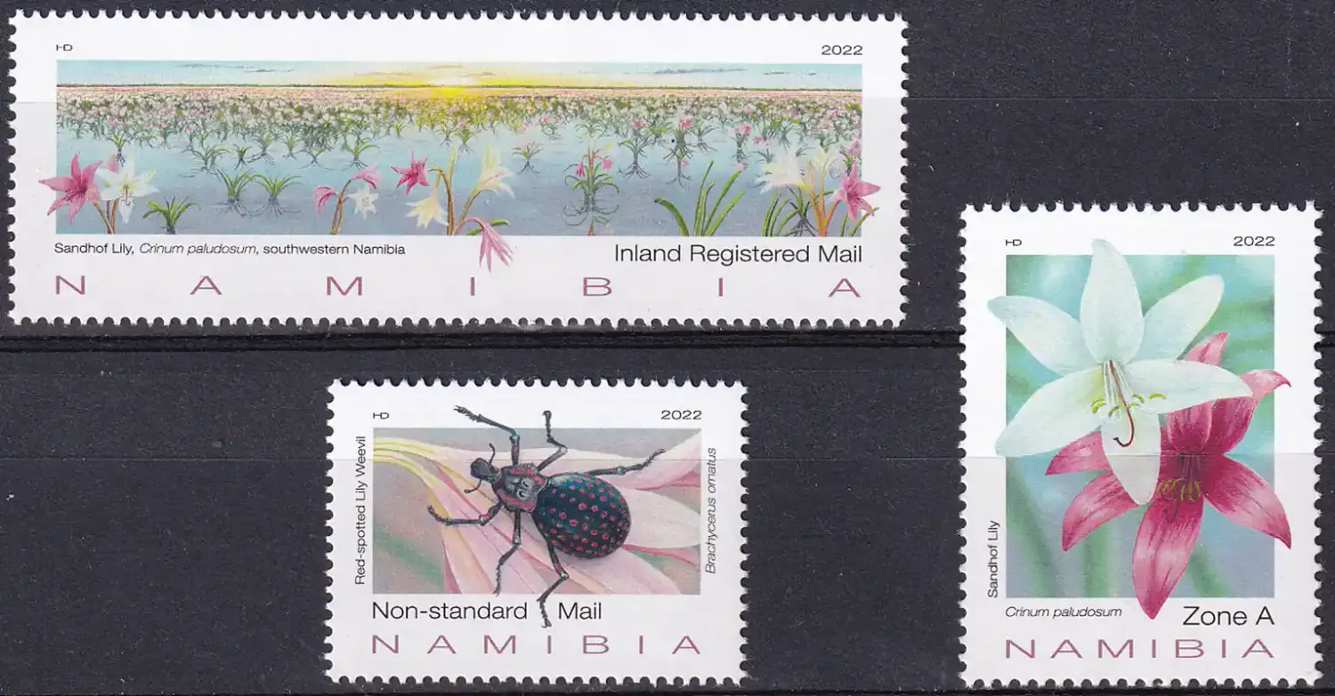 Namibia 2022 Flowers - Sandhof Lily of Namibia. MNH(**) Namibia 2022 Flowers - Sandhof Lily of Namibia. MNH(**)