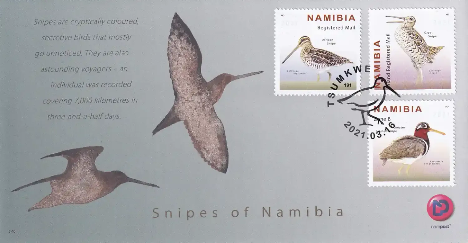 Namibia 2021 Birds - Snipes of Namibia. FDC Namibia 2021 Birds - Snipes of Namibia. FDC