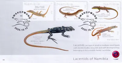 Namibia 2025 Reptiles - Lacertids of Namibia. FDC Namibia 2025 Reptiles - Lacertids of Namibia. FDC
