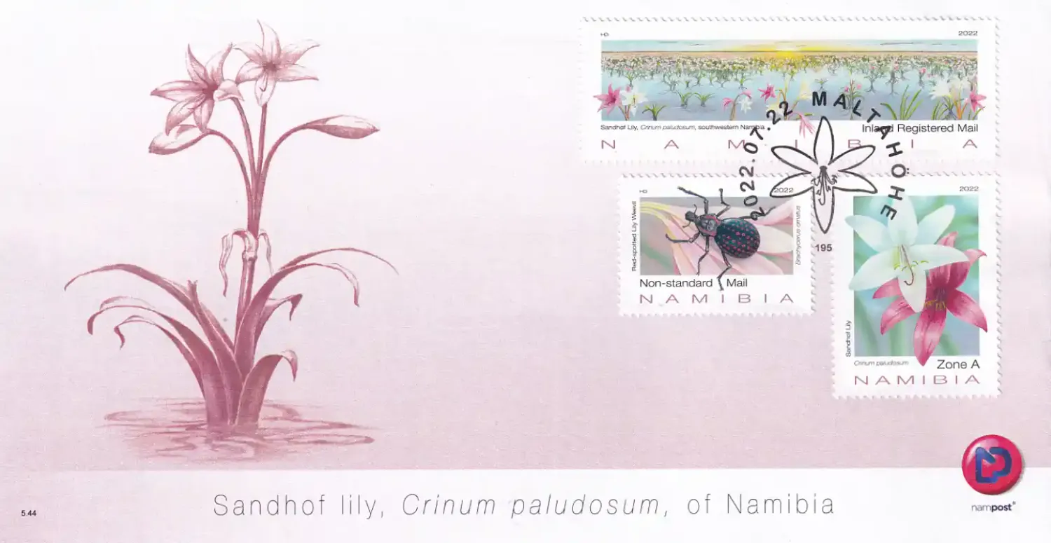 Namibia 2022 Flowers - Sandhof Lily of Namibia. FDC Namibia 2022 Flowers - Sandhof Lily of Namibia. FDC