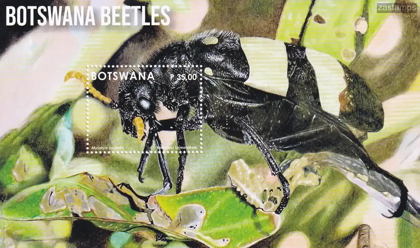 Botswana 2024 Beetles (ss/1v)-MNH(**) Botswana 2024 Beetles (ss/1v)-MNH(**)