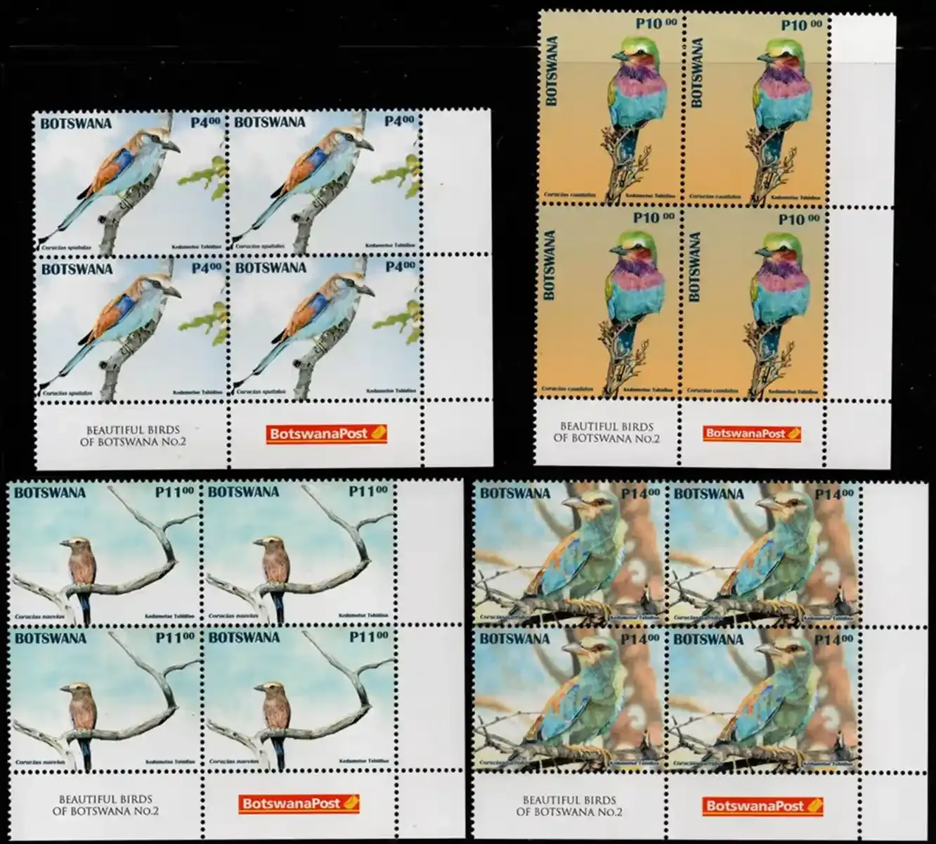 Botswana 2025 Birds Rollers C/Block Set. MNH(**) Botswana 2025 Birds Rollers C/Block Set. MNH(**)